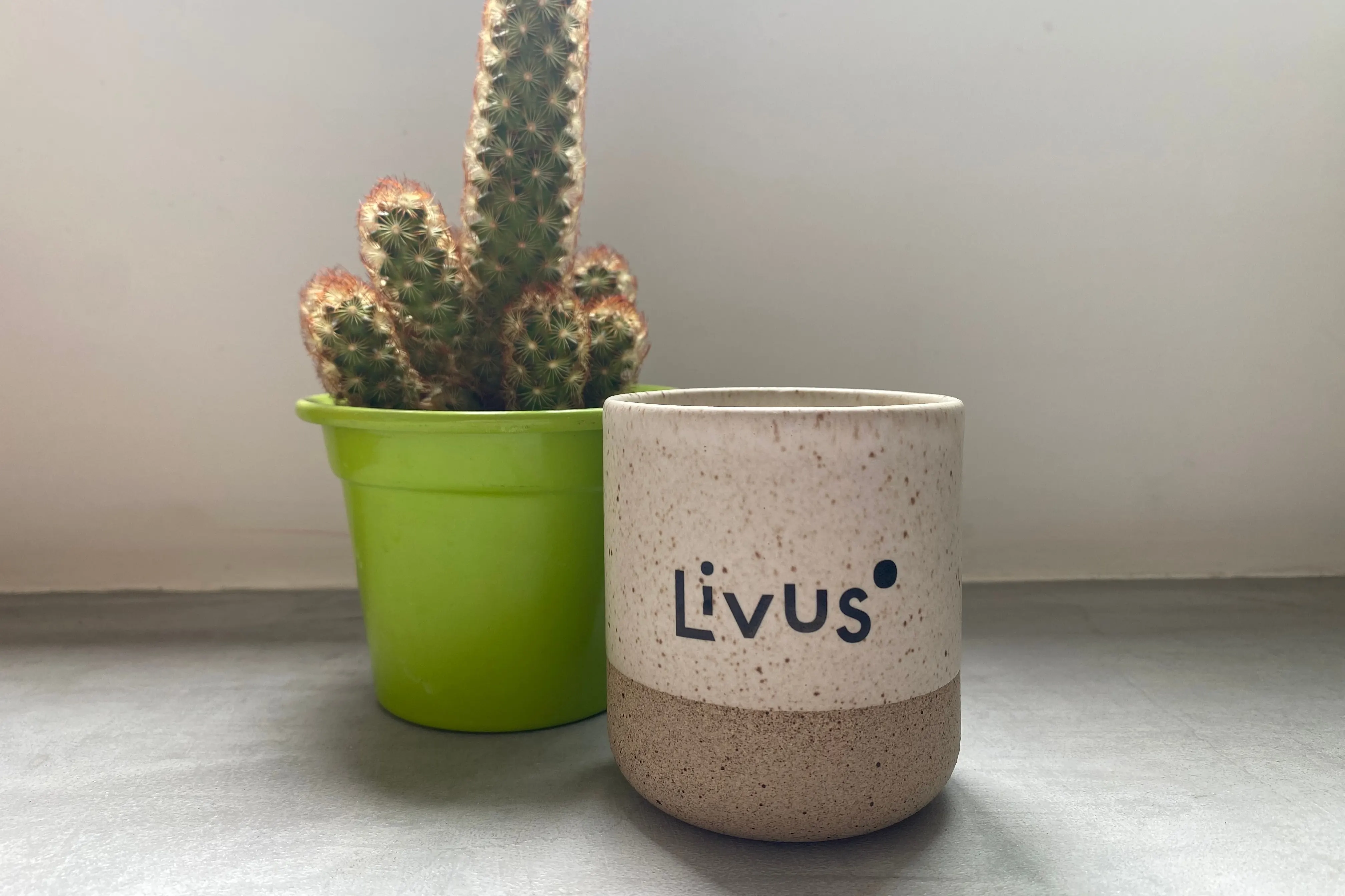 A speckled ceramic cup printed with the Livus wordmark, standing next to a cactus in a lime-green pot.